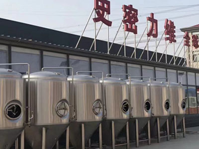 长宁精酿啤酒设备厂—如何判断精酿啤酒设备的密封件需要更换？